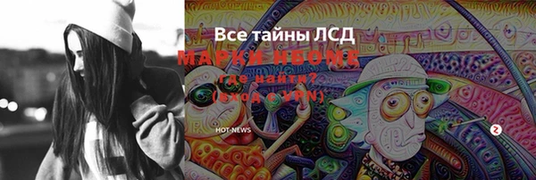 прущий лед Алзамай