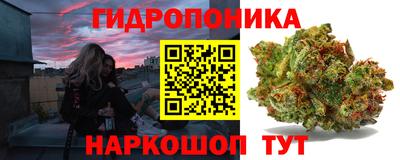 бошки Краснознаменск