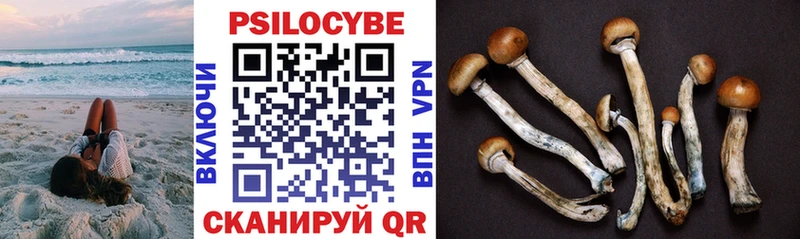 Галлюциногенные грибы GOLDEN TEACHER  Егорьевск 