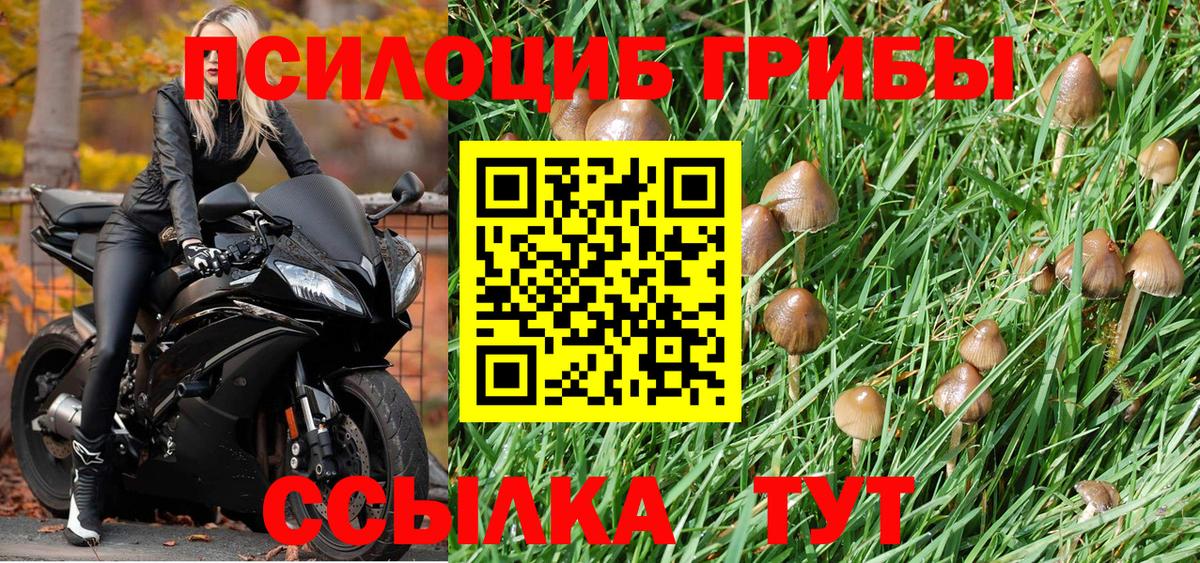 Галлюциногенные грибы GOLDEN TEACHER Егорьевск
