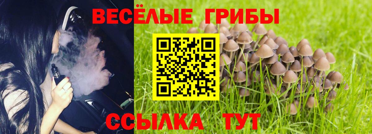Галлюциногенные грибы Cubensis  как найти закладки  Егорьевск  Вход с VPN 